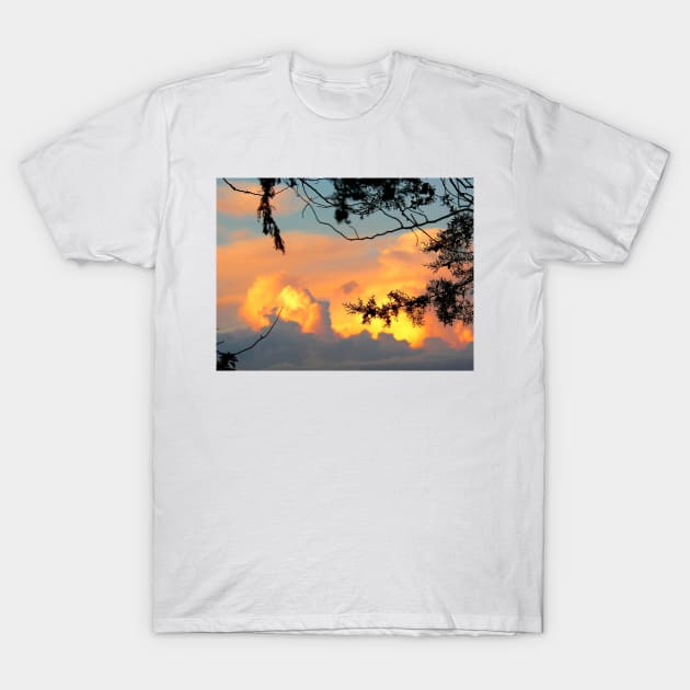 Touch me in the sky T-Shirt by terezadelpilar